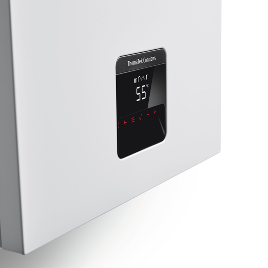 Saunier Duval THEMA TEK F25