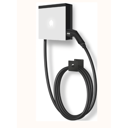 Cargador VE - EV WALL Business